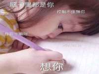 成武维生素网络科技有限公司