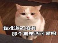 成武维生素网络科技有限公司