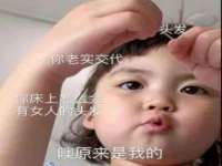 成武维生素网络科技有限公司