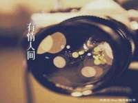 成武维生素网络科技有限公司