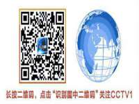 成武维生素网络科技有限公司