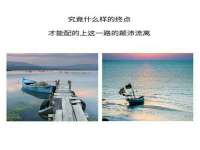 成武维生素网络科技有限公司