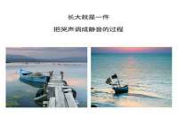 成武维生素网络科技有限公司