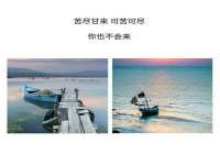 成武维生素网络科技有限公司