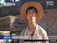 成武维生素网络科技有限公司