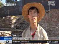成武维生素网络科技有限公司