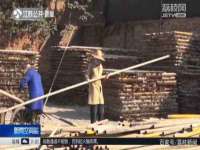 成武维生素网络科技有限公司