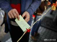 成武维生素网络科技有限公司