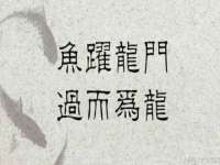 成武维生素网络科技有限公司