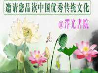 成武维生素网络科技有限公司