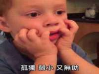 成武维生素网络科技有限公司