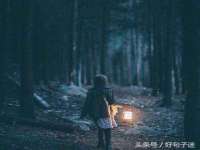 成武维生素网络科技有限公司