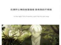 成武维生素网络科技有限公司