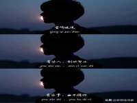 成武维生素网络科技有限公司