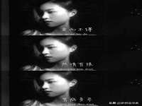 成武维生素网络科技有限公司