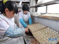 成武维生素网络科技有限公司