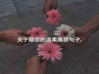 成武维生素网络科技有限公司