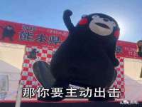 成武维生素网络科技有限公司