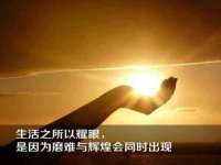 成武维生素网络科技有限公司