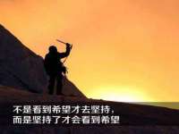 成武维生素网络科技有限公司