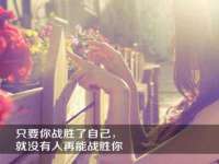成武维生素网络科技有限公司