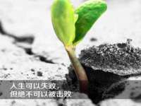成武维生素网络科技有限公司