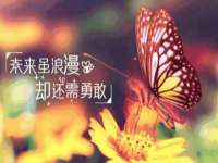成武维生素网络科技有限公司