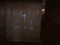 成武维生素网络科技有限公司