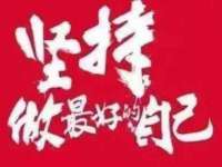 成武维生素网络科技有限公司