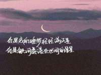 成武维生素网络科技有限公司