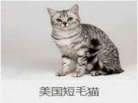 成武维生素网络科技有限公司