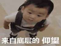 成武维生素网络科技有限公司