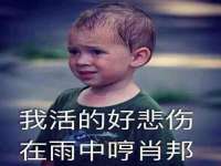 成武维生素网络科技有限公司