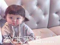 成武维生素网络科技有限公司