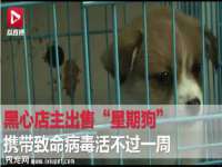 成武维生素网络科技有限公司