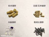 成武维生素网络科技有限公司