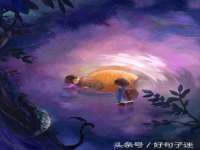 成武维生素网络科技有限公司