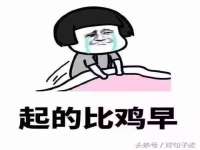 成武维生素网络科技有限公司