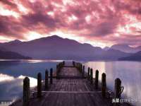 成武维生素网络科技有限公司