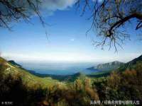成武维生素网络科技有限公司