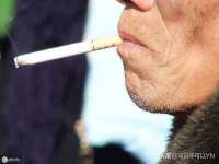 成武维生素网络科技有限公司