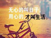 成武维生素网络科技有限公司