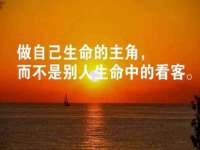 成武维生素网络科技有限公司