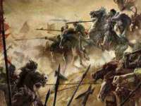 成武维生素网络科技有限公司