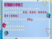 成武维生素网络科技有限公司