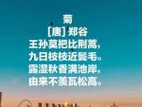 成武维生素网络科技有限公司