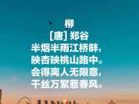 成武维生素网络科技有限公司