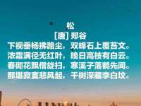成武维生素网络科技有限公司