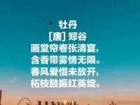 成武维生素网络科技有限公司