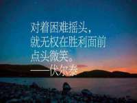 成武维生素网络科技有限公司